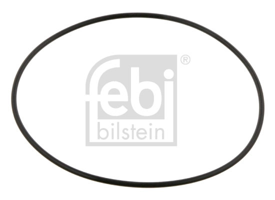 Seal Ring, wheel hub